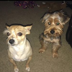 Meet your Posher, Nicole